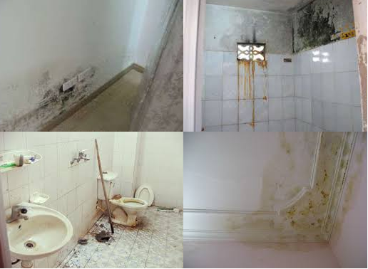 Sửa nhà chống thấm dột