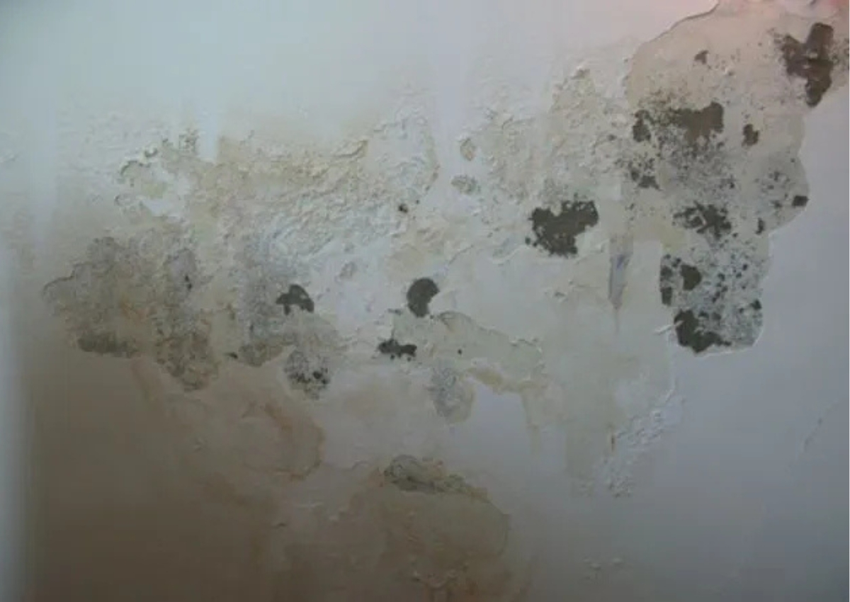 sửa chữa chống thấm nhà